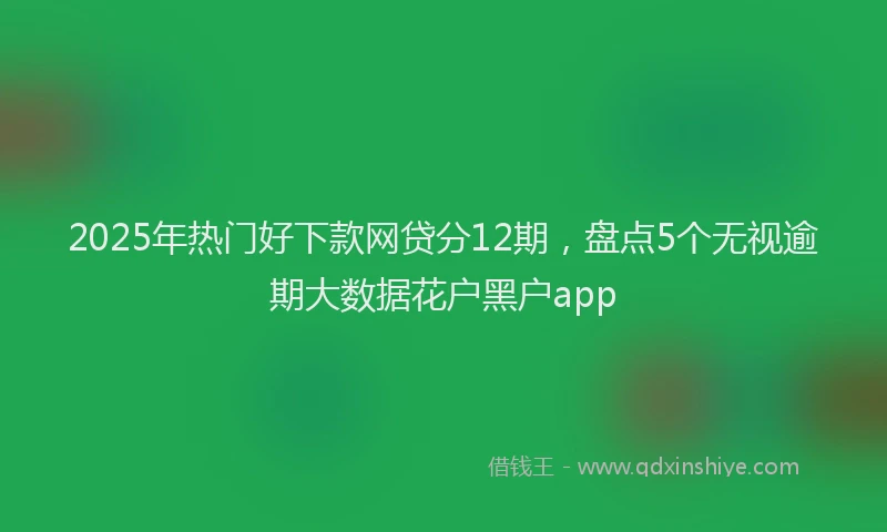 2025年热门好下款网贷分12期，盘点5个无视逾期大数据花户黑户app