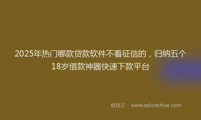 2025年热门哪款贷款软件不看征信的，归纳五个18岁借款神器快速下款平台
