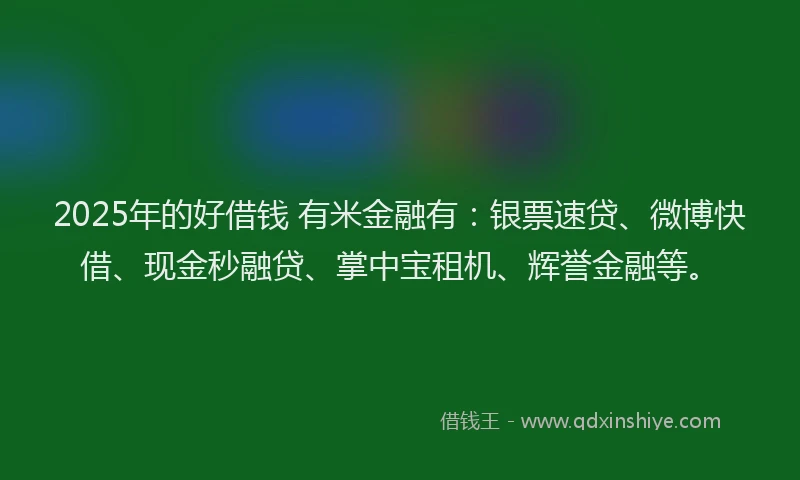 2025年的好借钱 有米金融有：银票速贷、微博快借、现金秒融贷、掌中宝租机、辉誉金融等。