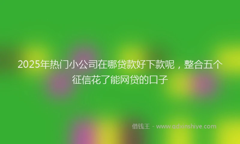 2025年热门小公司在哪贷款好下款呢,整合五个征信花了能网贷的口子