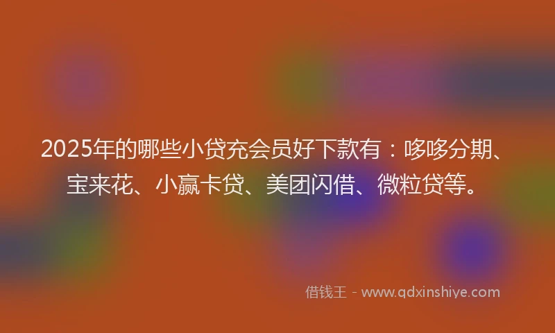 2025年的哪些小贷充会员好下款有：哆哆分期、宝来花、小赢卡贷、美团闪借、微粒贷等。