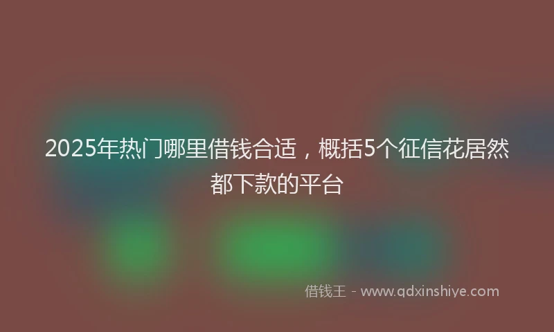 2025年热门哪里借钱合适，概括5个征信花居然都下款的平台