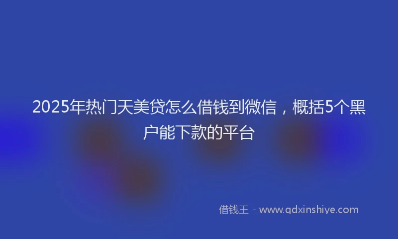 2025年热门天美贷怎么借钱到微信，概括5个黑户能下款的平台