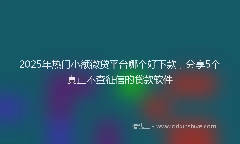 2025年热门小额微贷平台哪个好下款，分享5个真正不查征信的贷款软件