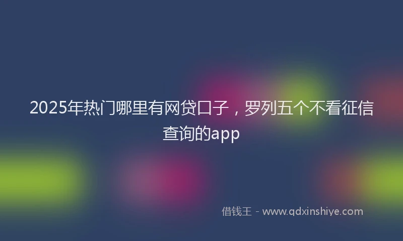 2025年热门哪里有网贷口子，罗列五个不看征信查询的app