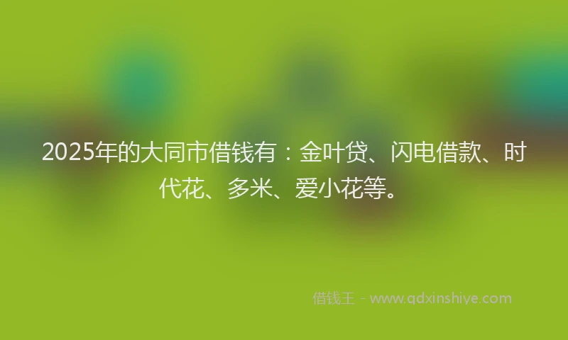 2025年的大同市借钱有：金叶贷、闪电借款、时代花、多米、爱小花等。