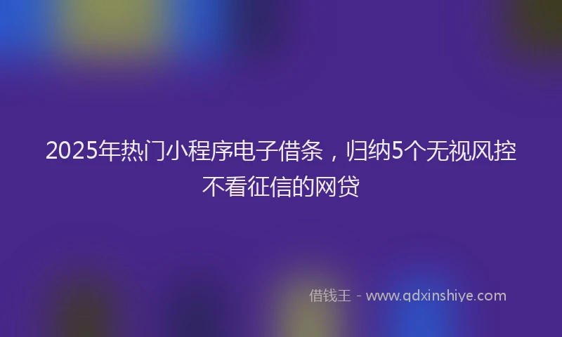 2025年热门小程序电子借条，归纳5个无视风控不看征信的网贷