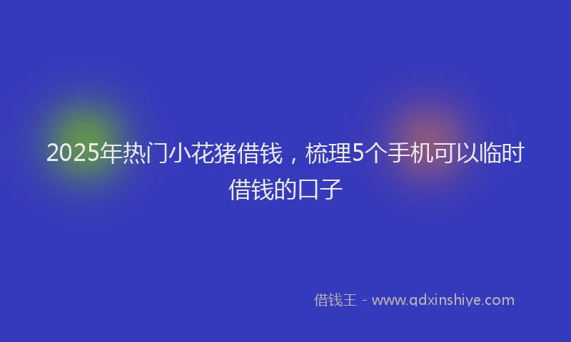 2025年热门小花猪借钱，梳理5个手机可以临时借钱的口子
