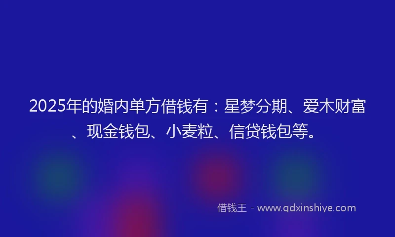 2025年的婚内单方借钱有:星梦分期、爱木财富、现金钱包、小麦粒、信贷钱包等。