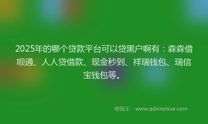 2025年的哪个贷款平台可以贷黑户啊有：森森借呗通、人人贷借款、现金秒到、祥瑞钱包、瑞信宝钱包等。