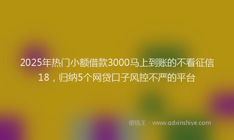2025年热门小额借款3000马上到账的不看征信18，归纳5个网贷口子风控不严的平台
