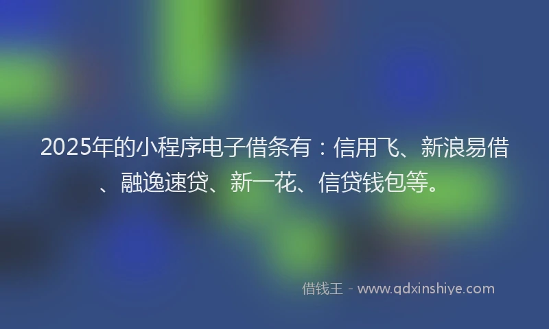 2025年的小程序电子借条有：信用飞、新浪易借、融逸速贷、新一花、信贷钱包等。