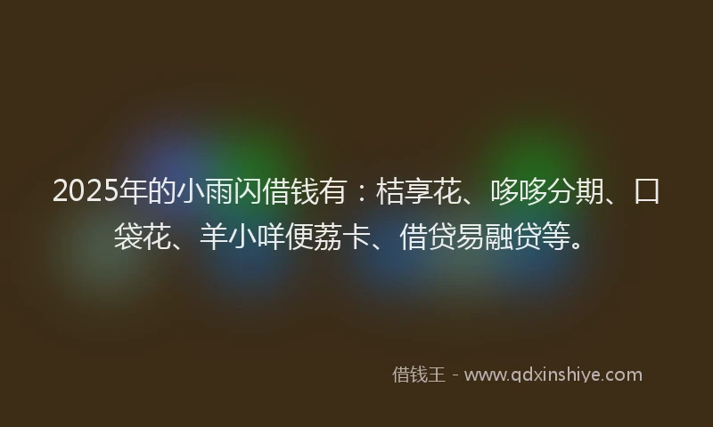 2025年的小雨闪借钱有：桔享花、哆哆分期、口袋花、羊小咩便荔卡、借贷易融贷等。