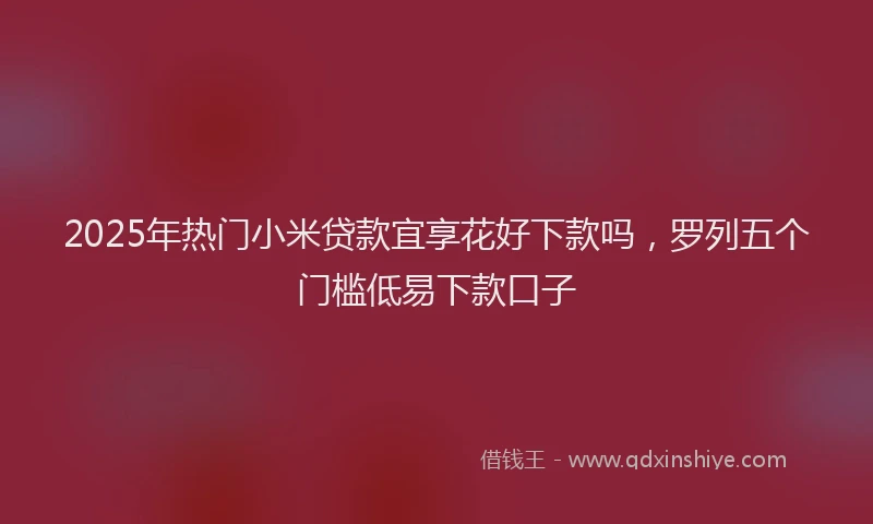 2025年热门小米贷款宜享花好下款吗，罗列五个门槛低易下款口子