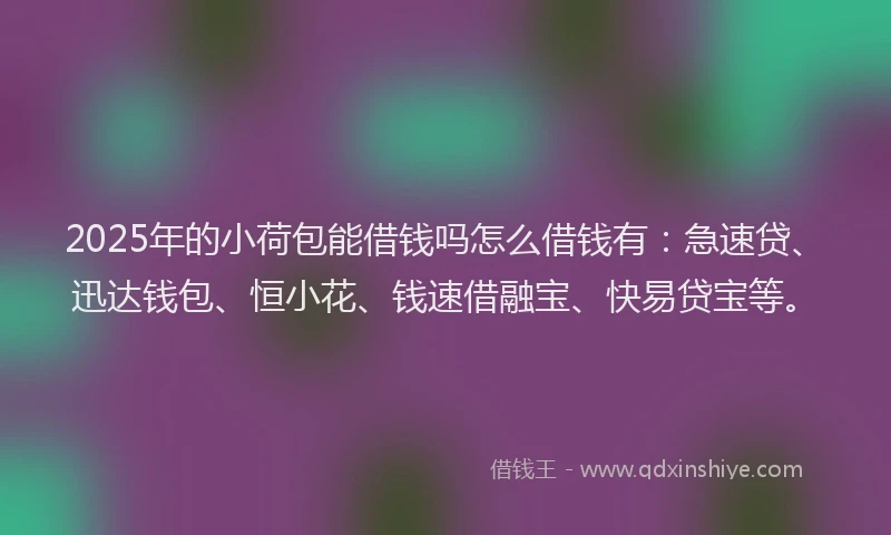 2025年的小荷包能借钱吗怎么借钱有：急速贷、迅达钱包、恒小花、钱速借融宝、快易贷宝等。