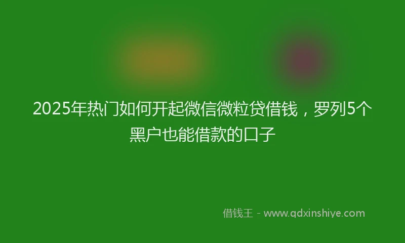 2025年热门如何开起微信微粒贷借钱，罗列5个黑户也能借款的口子