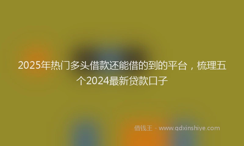 2025年热门多头借款还能借的到的平台，梳理五个2024最新贷款口子