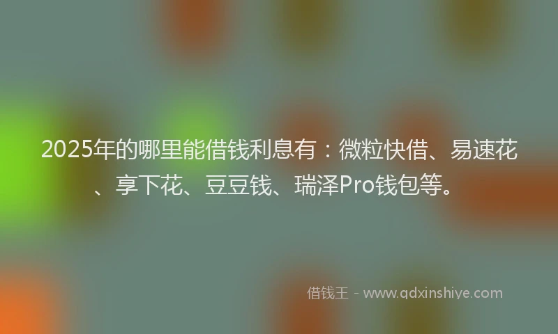 2025年的哪里能借钱利息有：微粒快借、易速花、享下花、豆豆钱、瑞泽Pro钱包等。