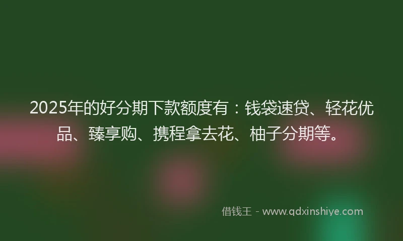 2025年的好分期下款额度有：钱袋速贷、轻花优品、臻享购、携程拿去花、柚子分期等。