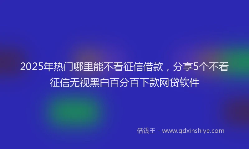 2025年热门哪里能不看征信借款，分享5个不看征信无视黑白百分百下款网贷软件