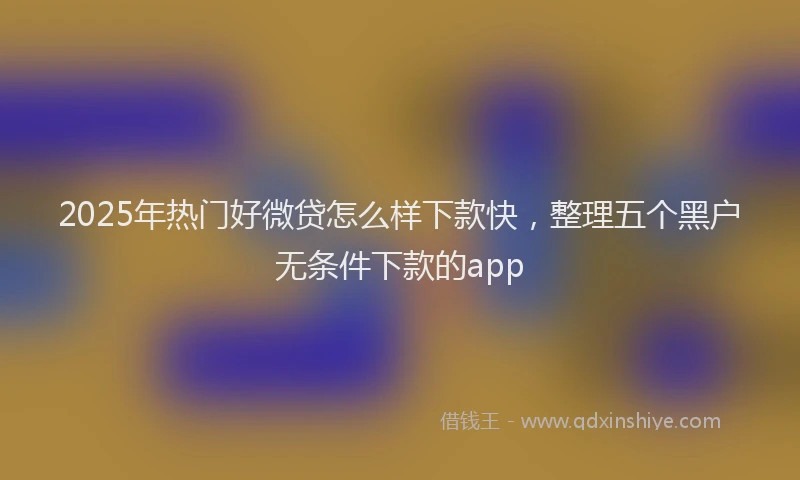 2025年热门好微贷怎么样下款快，整理五个黑户无条件下款的app