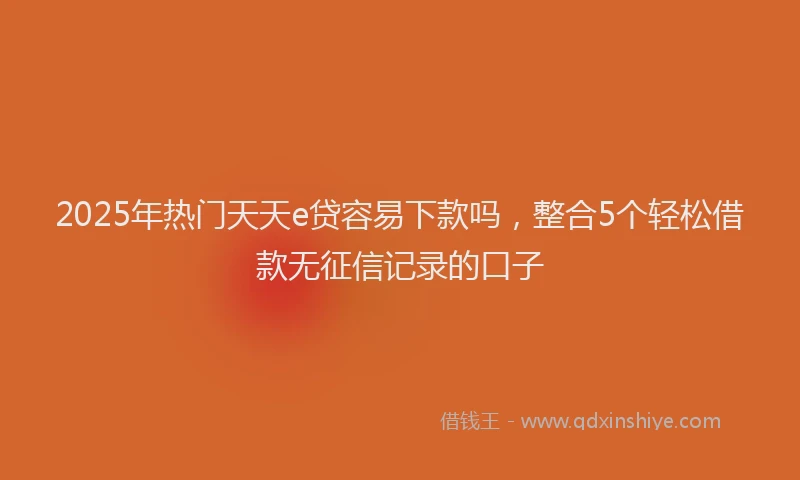 2025年热门天天e贷容易下款吗，整合5个轻松借款无征信记录的口子
