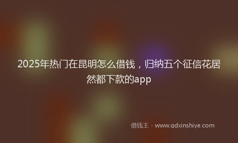 2025年热门在昆明怎么借钱，归纳五个征信花居然都下款的app