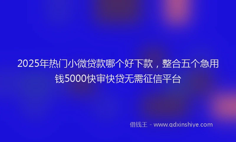 2025年热门小微贷款哪个好下款，整合五个急用钱5000快审快贷无需征信平台