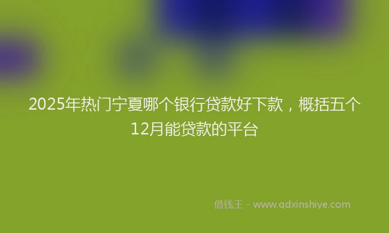 2025年热门宁夏哪个银行贷款好下款，概括五个12月能贷款的平台