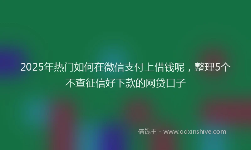 2025年热门如何在微信支付上借钱呢，整理5个不查征信好下款的网贷口子