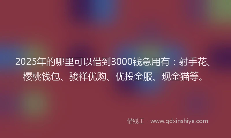 2025年的哪里可以借到3000钱急用有：射手花、樱桃钱包、骏祥优购、优投金服、现金猫等。