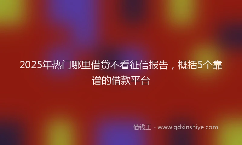 2025年热门哪里借贷不看征信报告，概括5个靠谱的借款平台