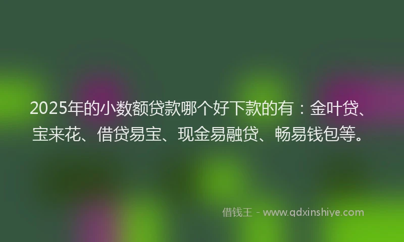 2025年的小数额贷款哪个好下款的有：金叶贷、宝来花、借贷易宝、现金易融贷、畅易钱包等。