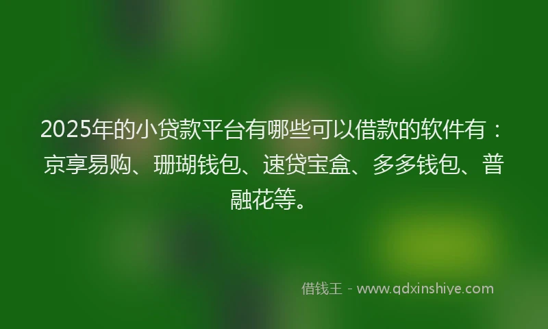 2025年的小贷款平台有哪些可以借款的软件有：京享易购、珊瑚钱包、速贷宝盒、多多钱包、普融花等。