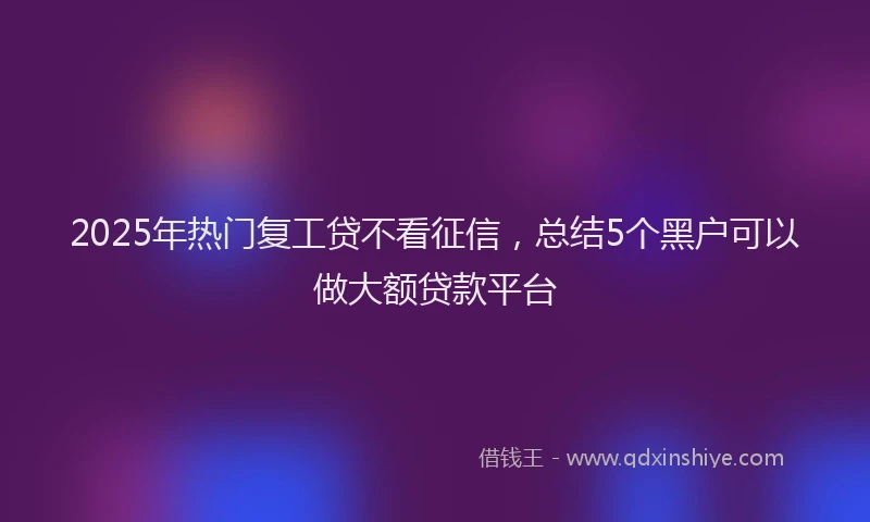 2025年热门复工贷不看征信，总结5个黑户可以做大额贷款平台