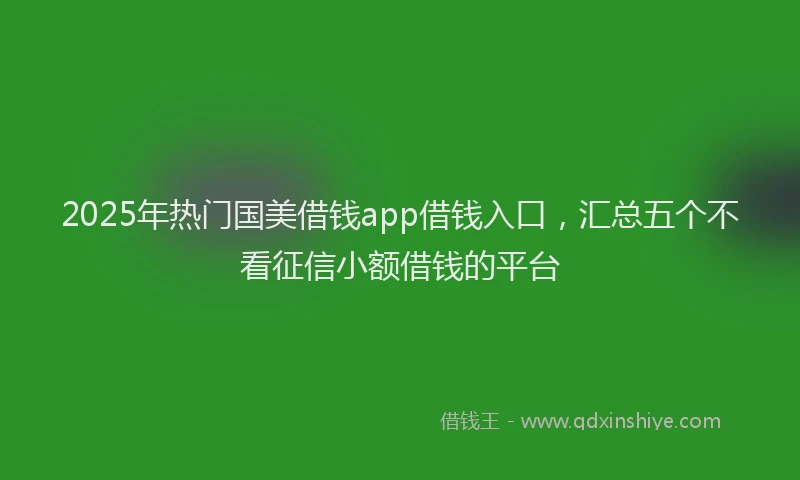2025年热门国美借钱app借钱入口，汇总五个不看征信小额借钱的平台
