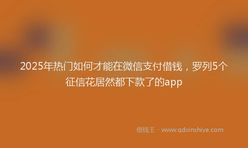 2025年热门如何才能在微信支付借钱，罗列5个征信花居然都下款了的app