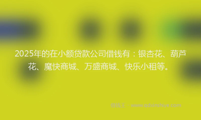 2025年的在小额贷款公司借钱有：银杏花、葫芦花、魔快商城、万盛商城、快乐小租等。