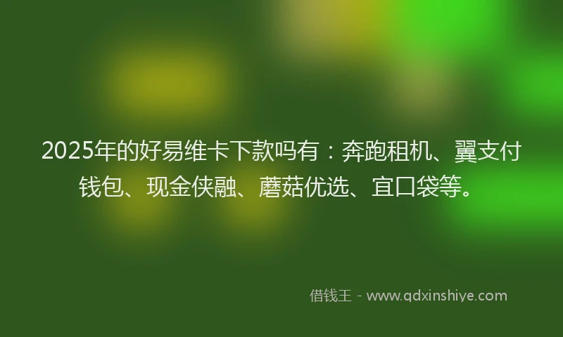2025年的好易维卡下款吗有：奔跑租机、翼支付钱包、现金侠融、蘑菇优选、宜口袋等。