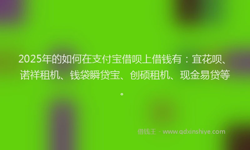 2025年的如何在支付宝借呗上借钱有：宜花呗、诺祥租机、钱袋瞬贷宝、创硕租机、现金易贷等。