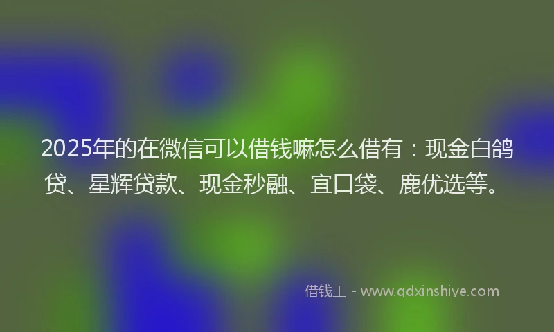 2025年的在微信可以借钱嘛怎么借有：现金白鸽贷、星辉贷款、现金秒融、宜口袋、鹿优选等。