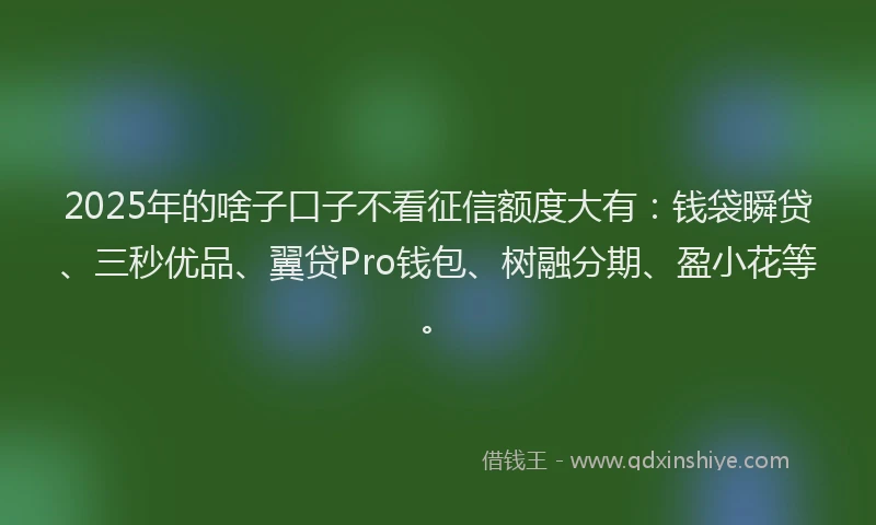2025年的啥子口子不看征信额度大有：钱袋瞬贷、三秒优品、翼贷Pro钱包、树融分期、盈小花等。