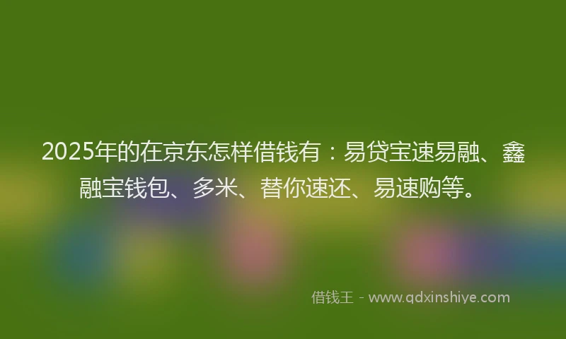 2025年的在京东怎样借钱有：易贷宝速易融、鑫融宝钱包、多米、替你速还、易速购等。