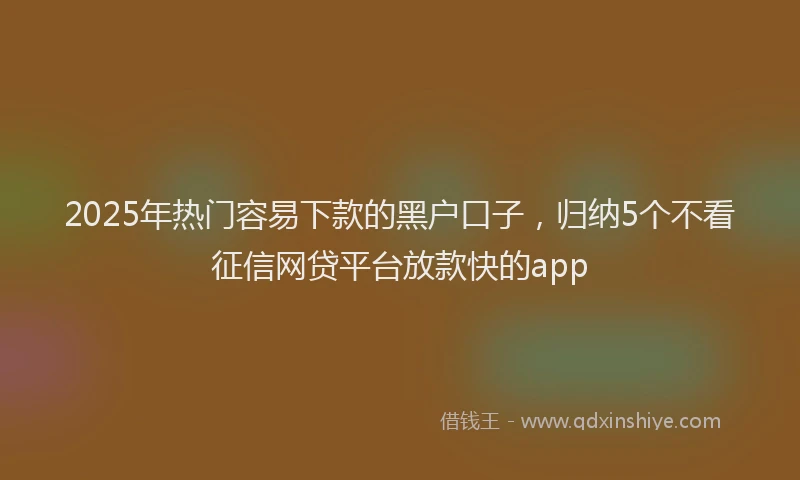 2025年热门容易下款的黑户口子，归纳5个不看征信网贷平台放款快的app