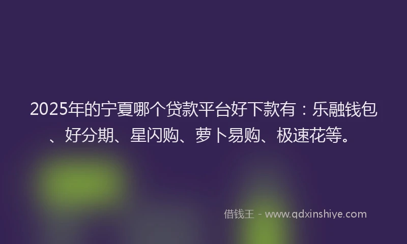 2025年的宁夏哪个贷款平台好下款有：乐融钱包、好分期、星闪购、萝卜易购、极速花等。