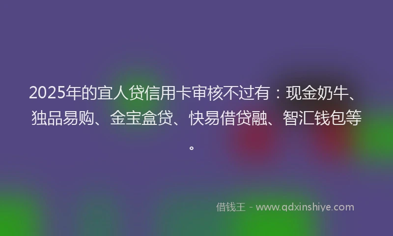 2025年的宜人贷信用卡审核不过有：现金奶牛、独品易购、金宝盒贷、快易借贷融、智汇钱包等。