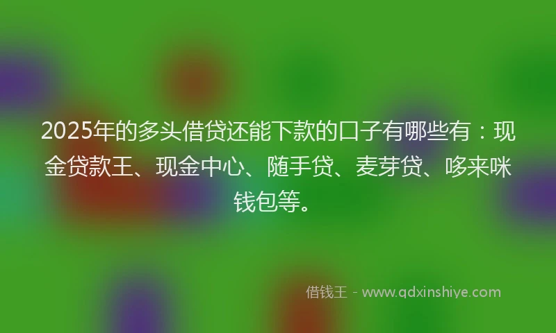 2025年的多头借贷还能下款的口子有哪些有：现金贷款王、现金中心、随手贷、麦芽贷、哆来咪钱包等。