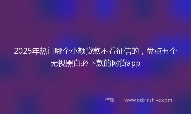2025年热门哪个小额贷款不看征信的，盘点五个无视黑白必下款的网贷app