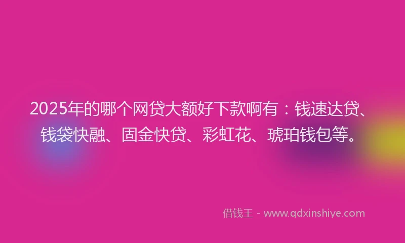 2025年的哪个网贷大额好下款啊有：钱速达贷、钱袋快融、固金快贷、彩虹花、琥珀钱包等。