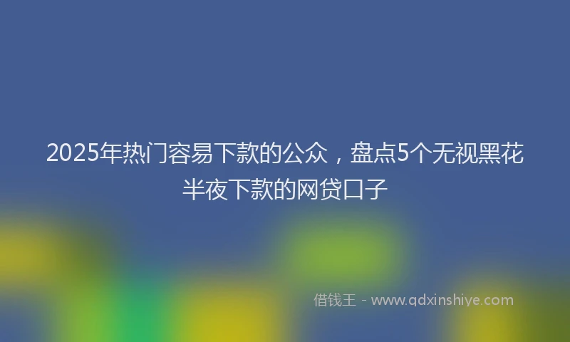 2025年热门容易下款的公众，盘点5个无视黑花半夜下款的网贷口子